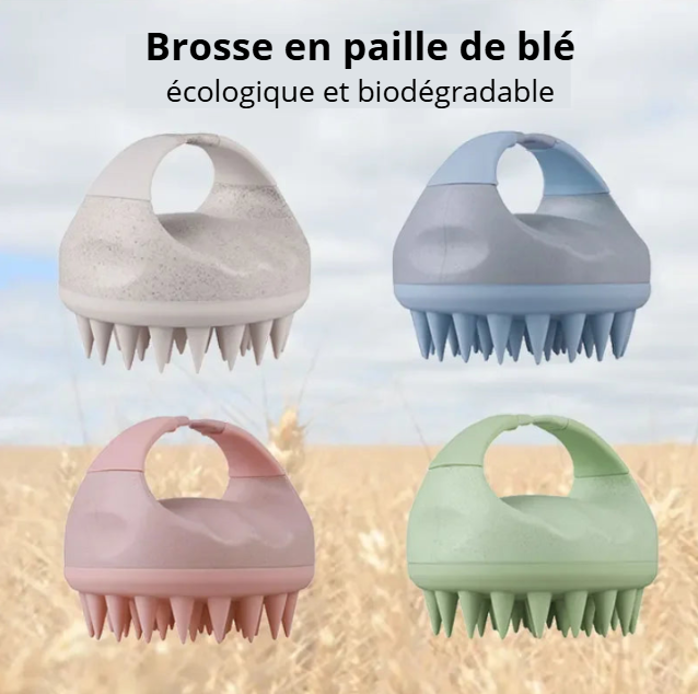 Masseur revitalisant pour le cuir chevelu