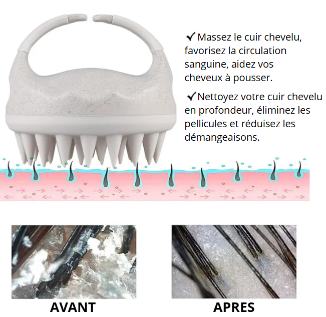 Masseur revitalisant pour le cuir chevelu
